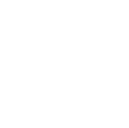 icon android